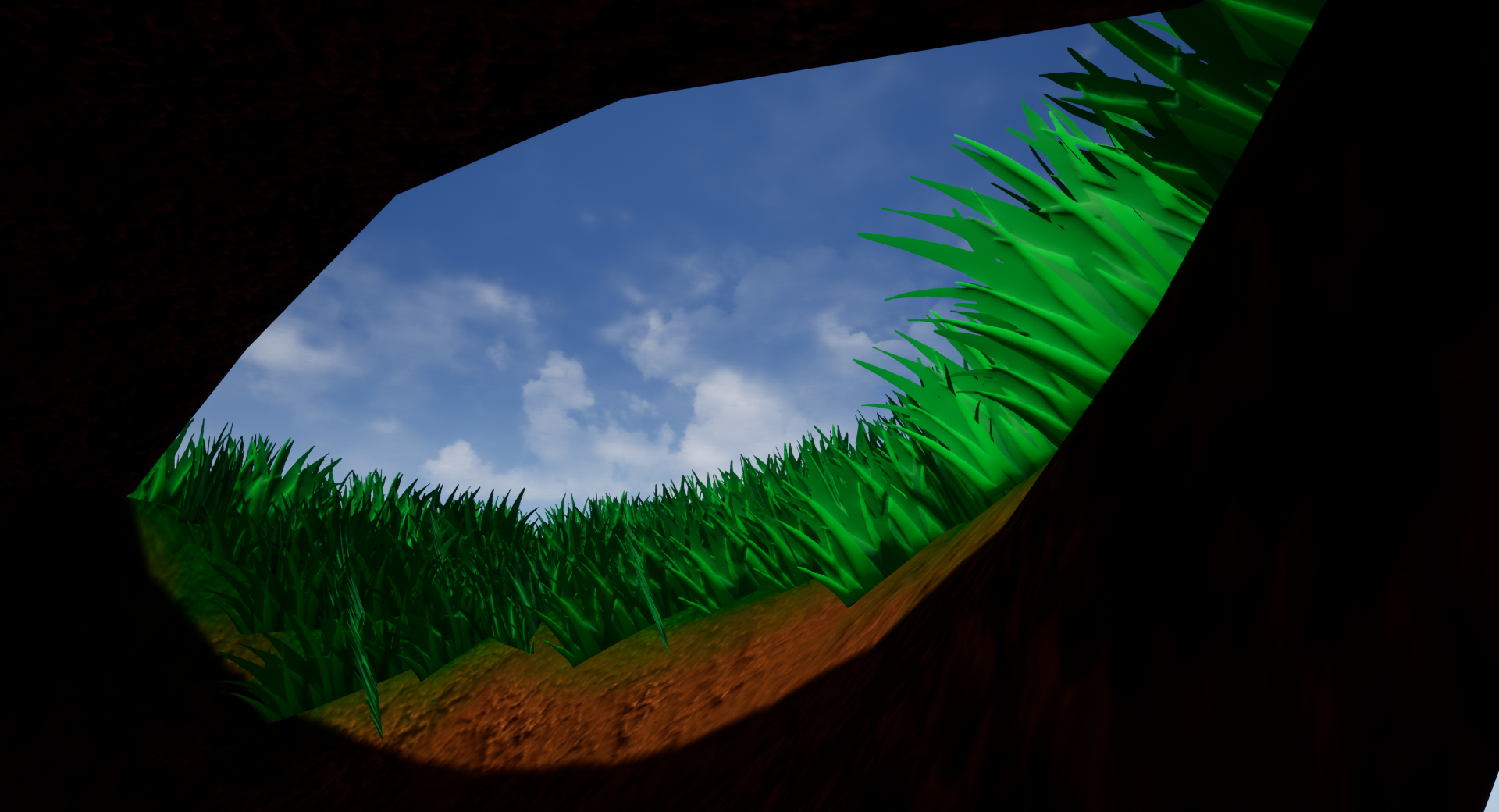 Looking out from inside a bumblebee burrow