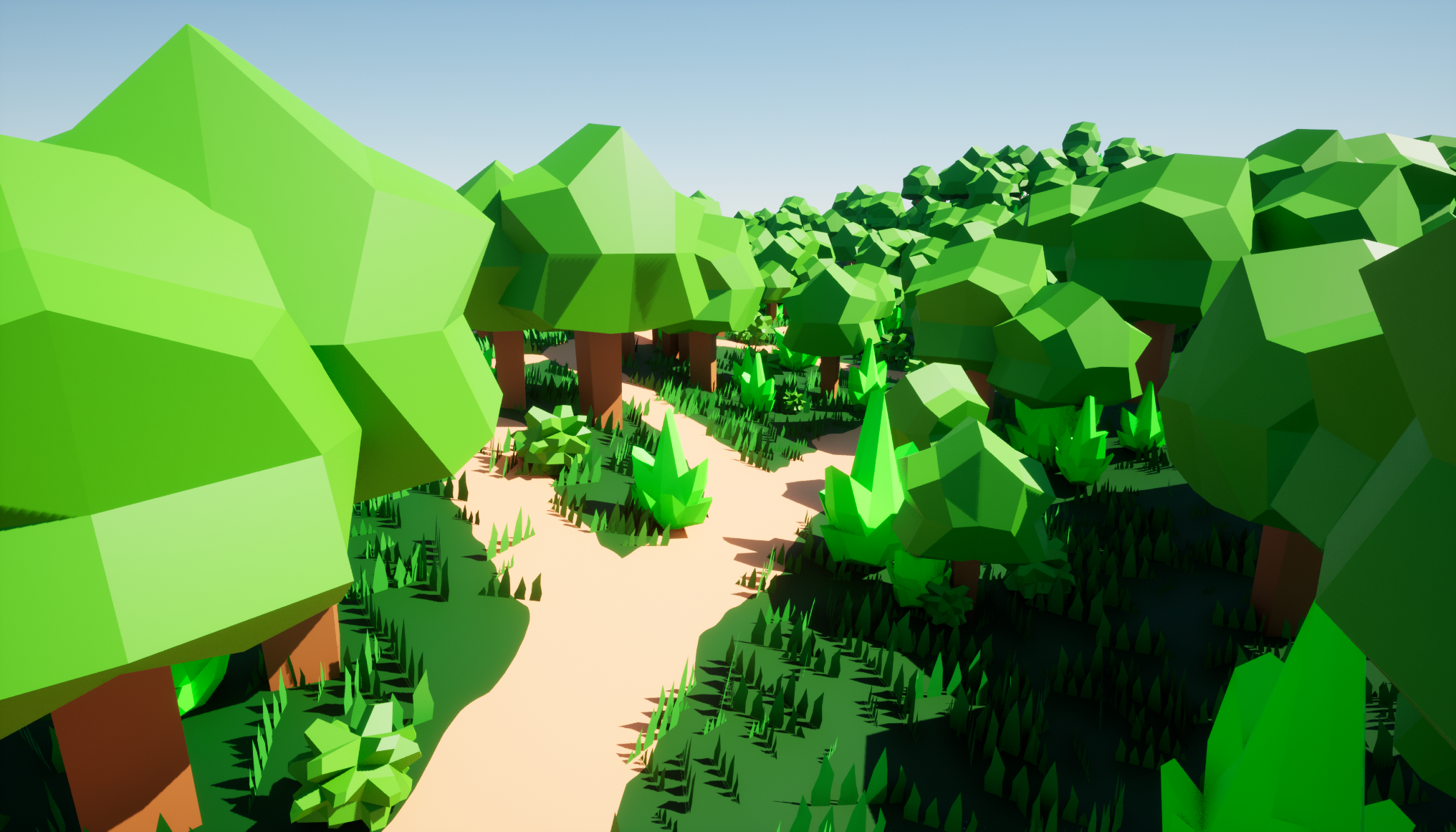 A branching path in the forest