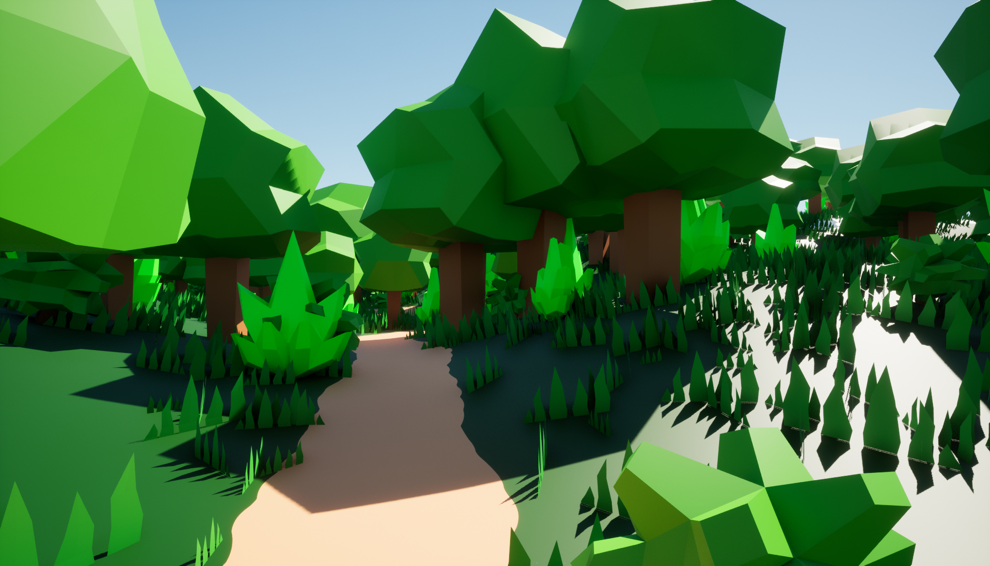 A path through the forest
